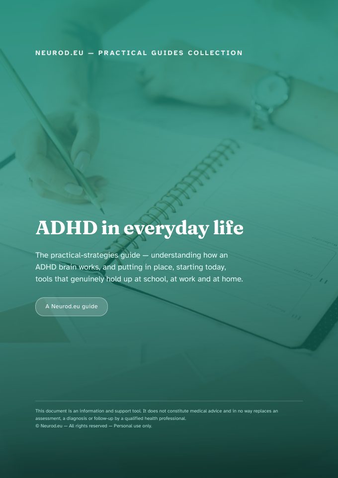 Cover of &laquo; ADHD in everyday life: the practical-strategies guide &raquo;