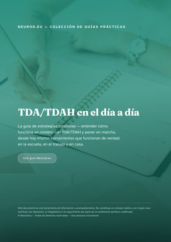 Portada de &laquo; TDA/TDAH en el día a día: la guía de estrategias concretas &raquo;